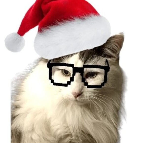 ‼️ READ ME 😘 closet info - Picture 11 of 12